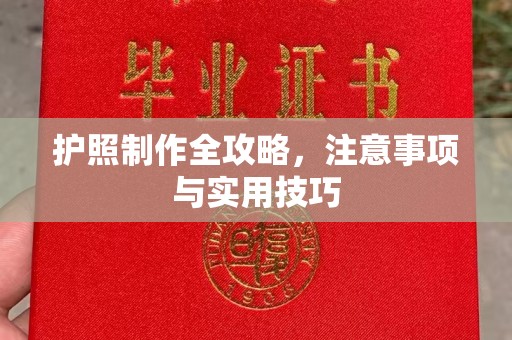 成县护照制作全攻略，注意事项与实用技巧