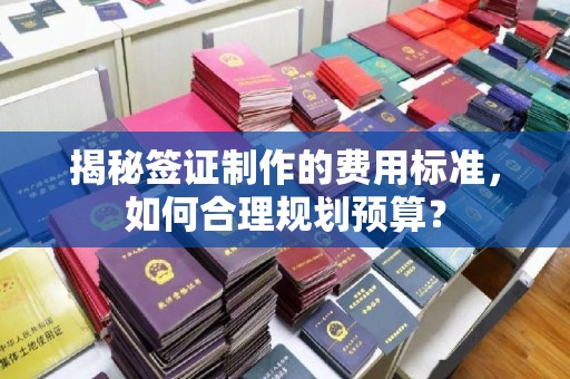 成县揭秘签证制作的费用标准，如何合理规划预算？