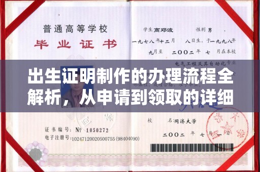 成县出生证明制作的办理流程全解析，从申请到领取的详细指南