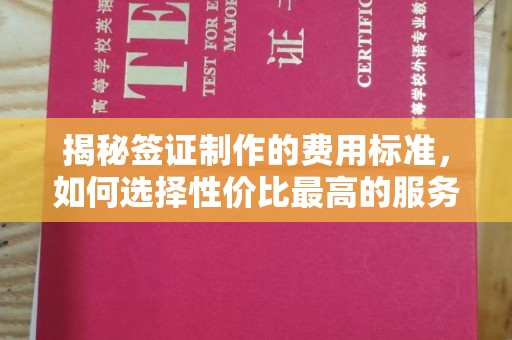 成县揭秘签证制作的费用标准，如何选择性价比最高的服务？